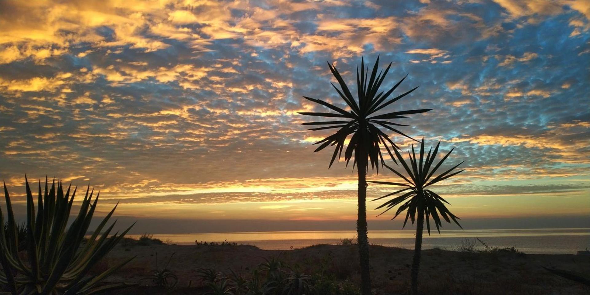 Mar Apartment Estepona